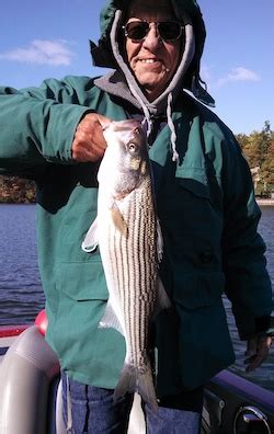 Fishing supplies for any type of fish you want to fish for especially striper and bass (hooks, sinkers, swivels, jigs, umbrella rigs, plastic baits, lures, live bait). Smith Mountain Lake Fishing Report - December 2013 - By ...