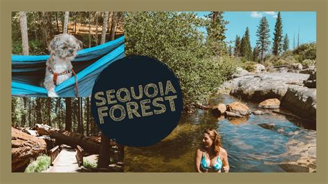 Nothing beats the traditional site where you can pull up your car, set up your tent, and have the family cooking hot dogs and marshmallows over the fire! Sequoia National Forest: Dispersed Camping, Natural ...