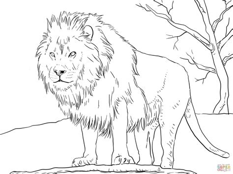 Looks like the time has finally come for us to be a bit more grown up! Get This Lion Coloring Pages for Adults to Print 41677