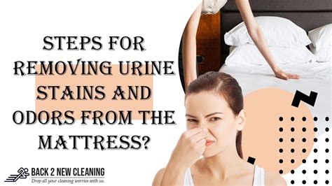 Getting your mattress stained with urine is a common occurrence when you have toddlers and pets playing around. Simple Steps For Removing Urine Stains and Odors from the ...