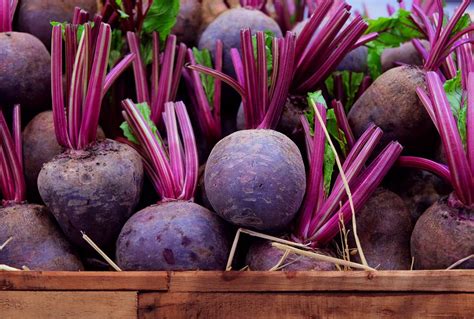 Wortel (daucus carota l.) wortel (daucus carota l.) merupakan tumbuhan jenis sayuran umbi yang umumnya berwarna jingga kekuningan atau kuning. 10 Jenis Sayuran Akar yang Sangat Sehat