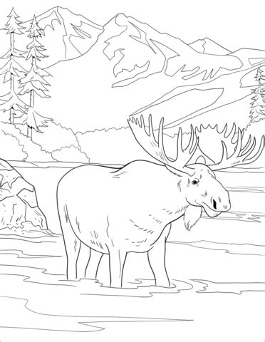 Colouring can be a fun and enjoyable activity for parents and children alike and the team at familyfun have put together a selection of some christmas coloring. Moose Coloring Pages Png & Free Moose Coloring Pages.png ...