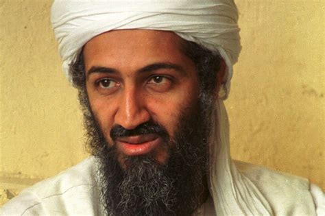However, his actions didn't make him an extremist, but. Osama Bin Laden's Hard Drive Shows Terrorist Loved Porn ...