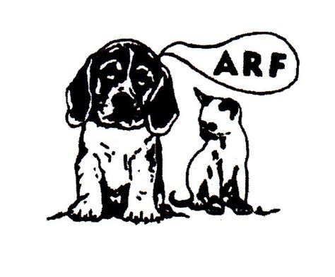 Looking for riyadh pet adoption? Pets for Adoption at Animal Rescue Force, in East ...