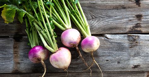 To harvest large turnip roots, use a spading fork to loosen the soil around the root before pulling it out. Turnips: Nutrition, Calories, and Benefits