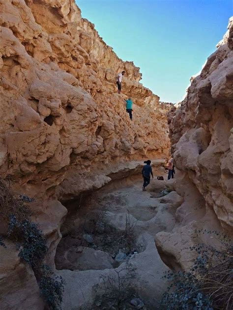 شكرًا لاستخدام تطبيق وادي دجلة! محمية وادي دجلة