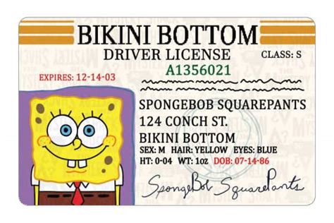 Grab a replica id of spongebob, patrick, mr. ID Cards - SpongeBob SquarePants - TheMysteryShack