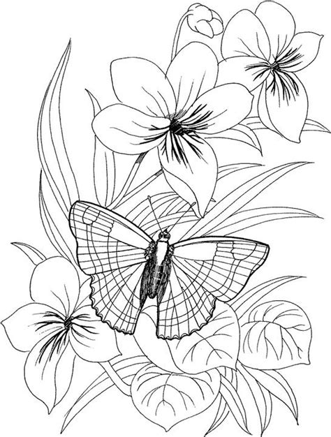 Flower coloring pages by thecolor.com. Flower Coloring Pages for Adults - Best Coloring Pages For ...