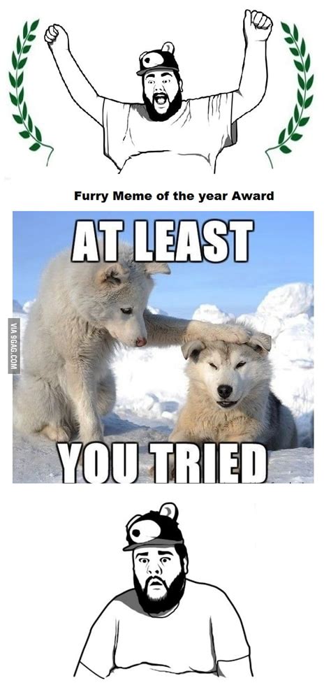 A furry meme is like an animation meme, but with a furry as the character. Furry Meme of the Year Award - 9GAG