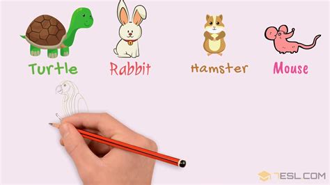 Kids Vocabulary Learn Pet Names Pets Vocabulary in English ...