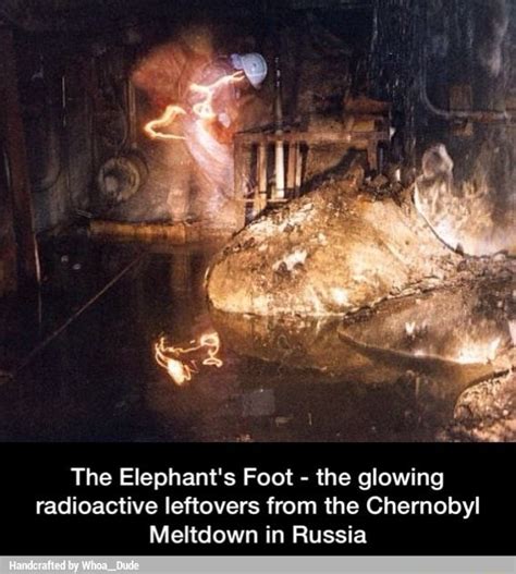 One of the first images of the elephant's foot, captured by workers who. The Elephant's Foot - the glowing radioactive leftovers ...