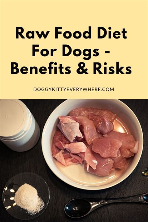 Why preparing raw dog food is worth the effort. Raw Food Diet For Dogs - Benefits & Risks (With images ...