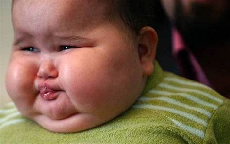 Please do not even think about dragging yourself down to it. Funny Fat Baby Picturesreadtosee