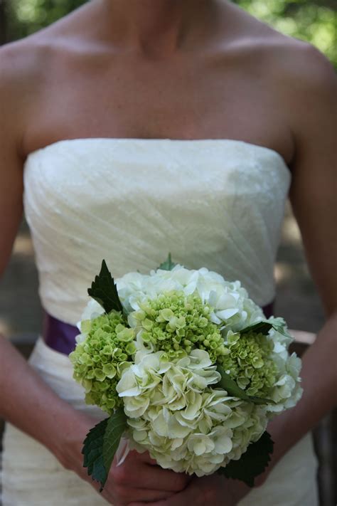 Check spelling or type a new query. Green Lady's Mantle, White Hydrangea Bridal Bouquet