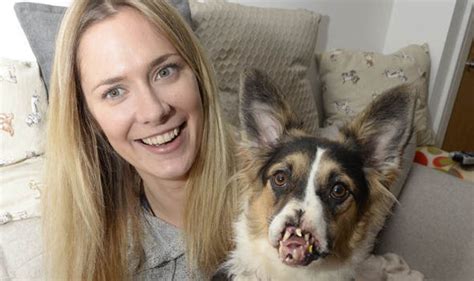 The recent itv documentary rachel nickell: Woman sets up fundraising drive for noseless rescue dog to ...