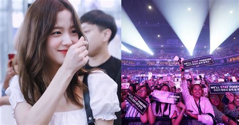 They have an enormous fan following around the world, and this surely will be a treat for them. BLACKPINK's Jisoo Proudly Expresses Her Love For BLINKS In ...