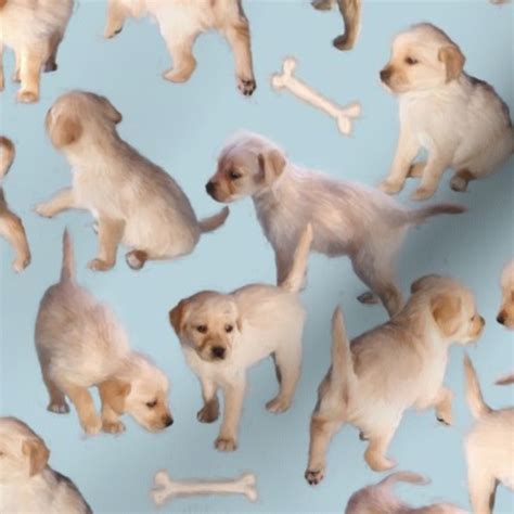 Too many puppies is a song by the american rock band primus, released as the second single from their debut studio album frizzle fry (1990). Too Many Puppies - Spoonflower
