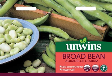 Fresh beans are more popular than the dried variety, which tend to be quite floury. Broad Bean Aquadulce Claudia
