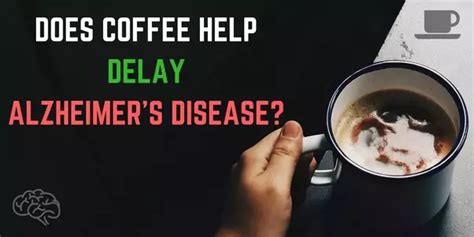 There are different ways of brewing coffee that gives it its distinct flavour and smell. What are the Long term effects of coffee on the brain? - Quora