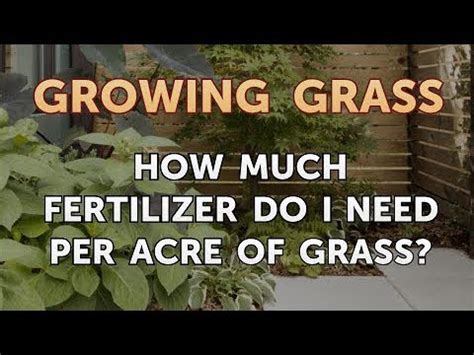 The main question that they have in mind is how much hay per acre they can expect to get. How Much Fertilizer Do I Need Per Acre of Grass? - YouTube