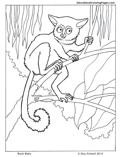 From the smiling baby parrot to the cheerful baby monkey. Trees Coloring Pages - Educational Fun Kids Coloring Pages ...