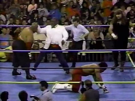 John black big van vader vs. THE AUDIT: WCW WRESTLEWAR 1992 "FEATURING WAR GAMES ...