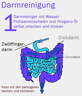 Eine darmreinigung/darmsanierung im sinne der naturheilkunde aber wird durchgeführt, um die einläufe können äusserst bequem zu hause mit hilfe eines einlaufsets (irrigator) durchgeführt. Meine Darmreinigungskur: Anleitung für Darmreinigung zu Hause