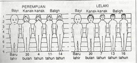 Tetapi… nampaknya ada bahagian tubuh lelaki lain yang secara saintifik hasilnya, lelaki yang tinggi dengan mempunyai kaki panjang menarik perhatian ramai perempuan. Perubahan Fizikal Lelaki Dan Perempuan