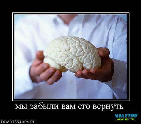 Все диеты докторов