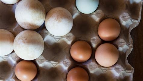 Neben der garzeit spielen aber auch größe, gewicht und temperatur der eier eine rolle. Pin auf Eggs