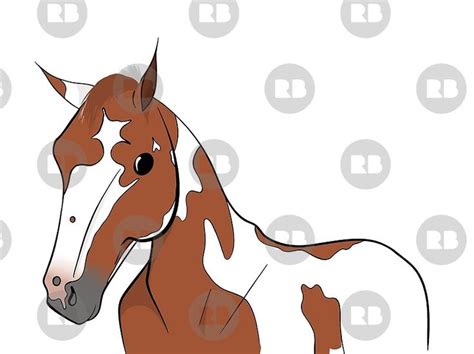 Arabian horse brown and white. 'Brown and White Horse' Poster by HorseBits | Brown and ...