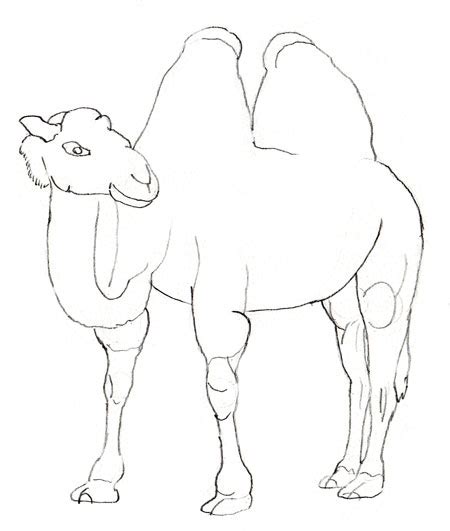 You might like to watch this video of me drawing a rottweiler! How to Draw a Camel - Yedraw