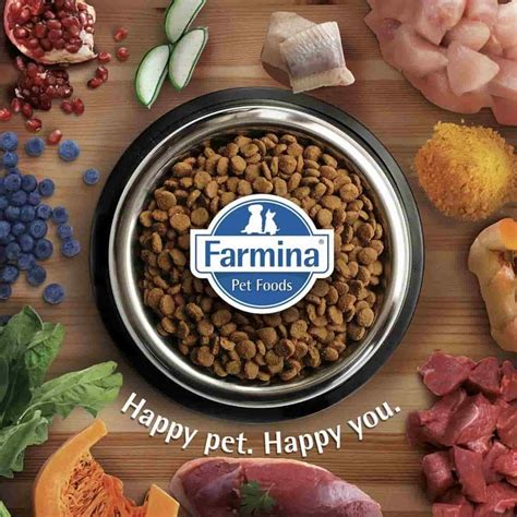 We do not believe that a recall indicates a low quality food or company, and we where to buy farmina dry cat food. Buy Farmina N&D Quinoa (Skin & Coat) Wet Cat Food - Quail ...
