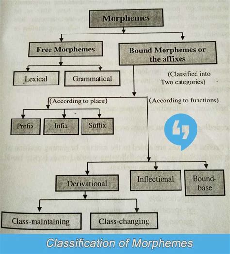 Maybe you would like to learn more about one of these? Types Of Morphemes (List/Classification) - iLinguist ...