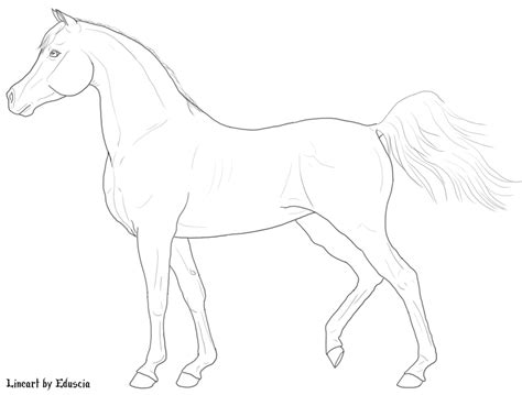 How to draw a horse for kids 9 easy steps an easy step by step drawing lesson for kids. Line Drawing Of A Horse at GetDrawings | Free download