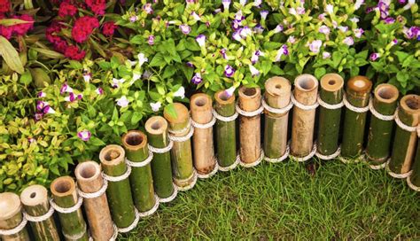 Bambu petuk wali ini memiliki tuah untuk kekebalan, pengasihan, pengobatan, dan pagar gaib. Pagar Bambu Pendek