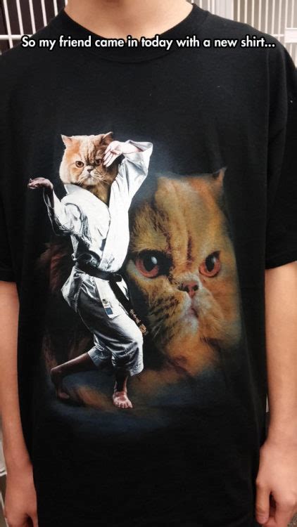The karate cats are here to help! cat karate | Tumblr