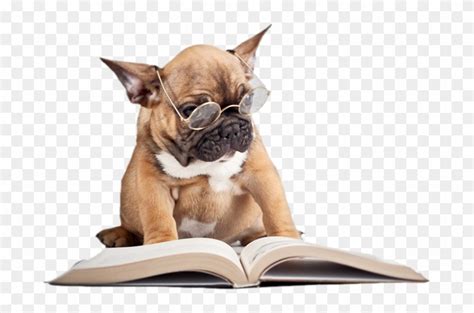 You can download it and start reading immediately, or you can have the printed book mailed to you. Recent Articles By Dr - French Bulldog Reading A Book ...