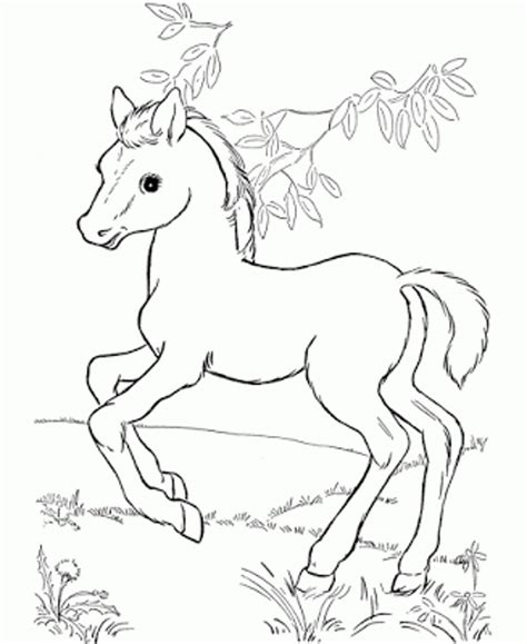 Save coloring page color online. Fun Horse Coloring Pages for Your Kids Printable