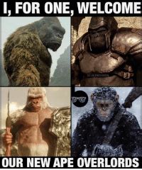 With tenor, maker of gif keyboard, add popular godzilla vs kong animated gifs to your conversations. KING KONG VS GODZILLA EARLY YEARS Let the Cuteness Battle ...