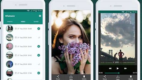 6 Cara Download Status WhatsApp : Foto & Video Terbaru ...
