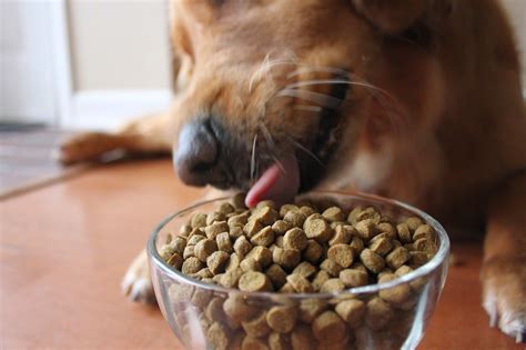 Our dog and cat food ranges are 100. Selecting and Transitioning to an All-Natural Dog Food # ...