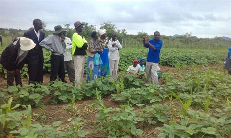 Mwenezi (suba sa mosambik) (ceb); Zimbabwe Mwenezi - Growing Hope Globally