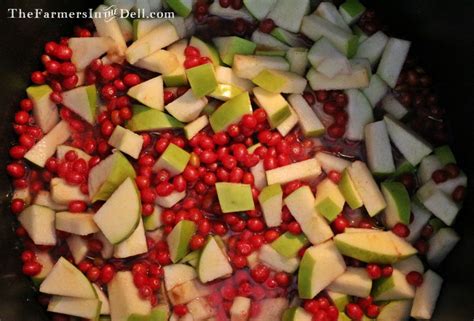 In this video i forage autumn olive berries and make jam out of them. Autumn olive jam recipe | The Farmers in the Dell