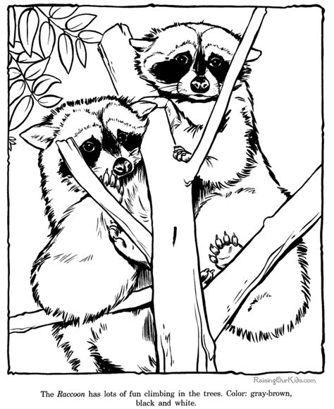 So what happens when you combine pretty colors with mario? Racoon coloring picture pages