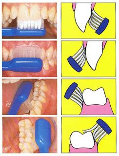 Hal ini wajib kamu lakukan agar kamu. Blazing Dentist: Cara Menggosok Gigi yang Baik dan Benar