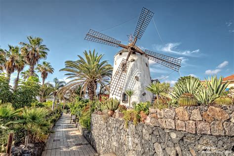 Maybe you would like to learn more about one of these? El Molino Blanco (II). Adeje (Playa de las Américas-Costa ...