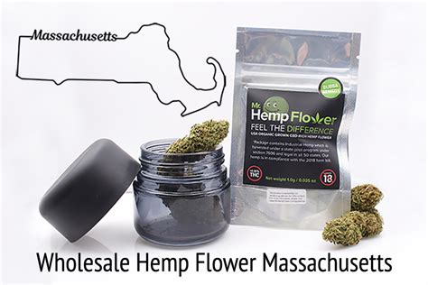Currently the shipping is not available, pick up in store only! Wholesale Hemp Flower in Massachusetts - Bulk Hemp Flower