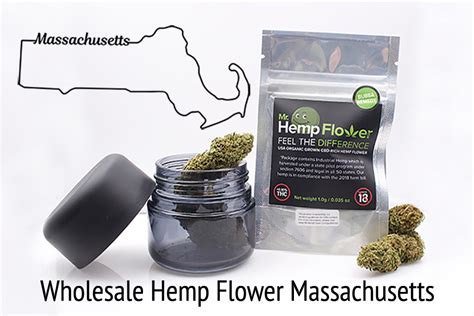 Apr 06, 2020 · to find out which stores deliver the best indoor plants, we ordered houseplants from seven popular brands like amazon, the sill, bloomscape, etsy, and urbanstems. Wholesale Hemp Flower in Massachusetts - Bulk Hemp Flower