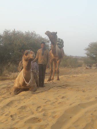 Cost of camel safari may be varies depending upon the facilities you choose. Jodhpur Camel Safari - Private Day Tours - 2020 What to ...